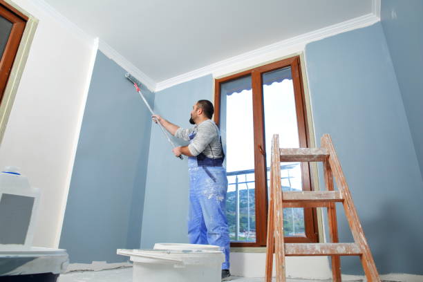 Best Environmental Consulting for Mold Prevention  in Cedar Point, NC