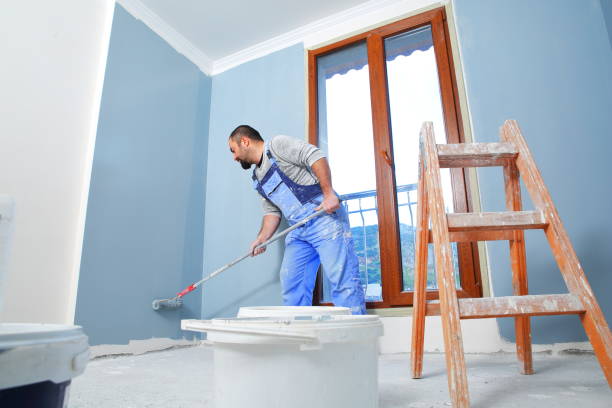 Best Mold Documentation for Insurance Claims  in Cedar Point, NC