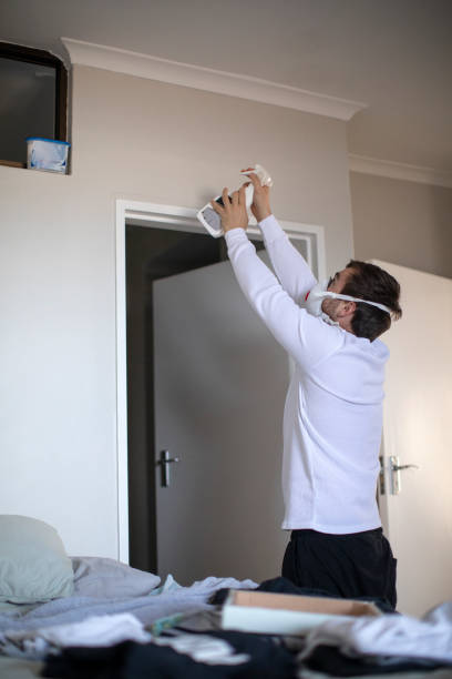 Reliable Cedar Point, NC Mold Removal Solutions