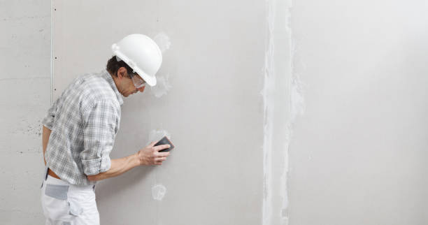 Best Air Quality Testing for Mold Spores  in Cedar Point, NC