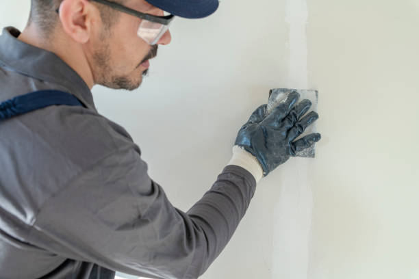 Best Mold Prevention Services  in Cedar Point, NC