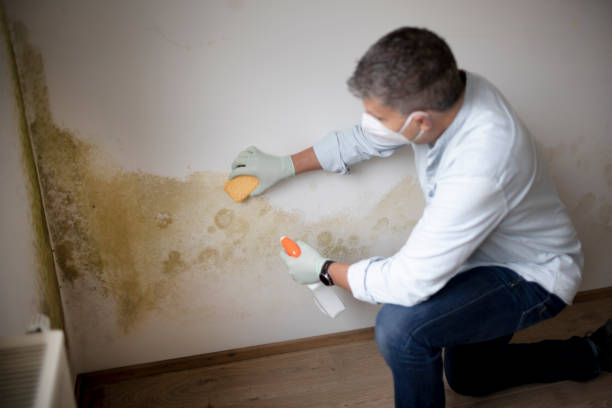 Forensic Mold Investigation in Cedar Point, NC