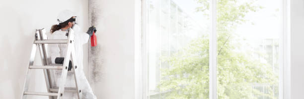 Best Commercial Mold Inspection  in Cedar Point, NC