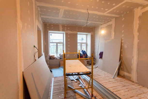 Best Asbestos and Lead Testing During Mold Inspection  in Cedar Point, NC